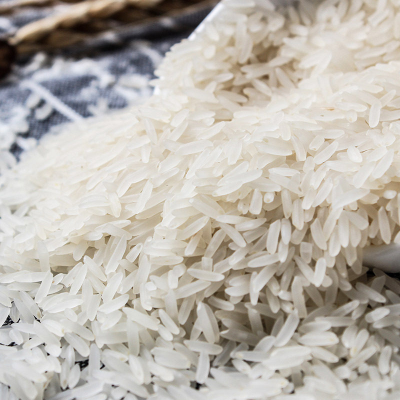 大米天香莉丝正宗罗定特产广东丝苗米油粘软香大米