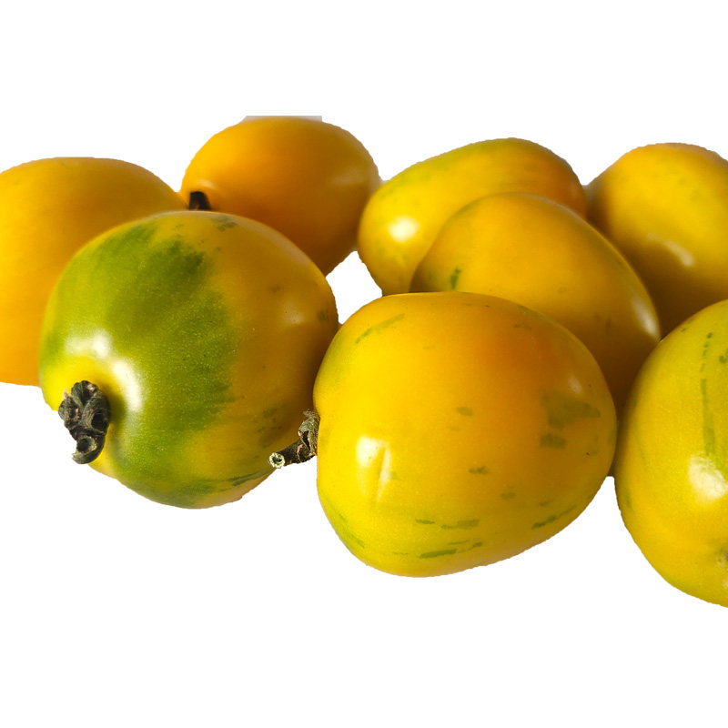 皮球柿子东北花黄黄色西红柿农家新鲜蔬菜虎皮柿子