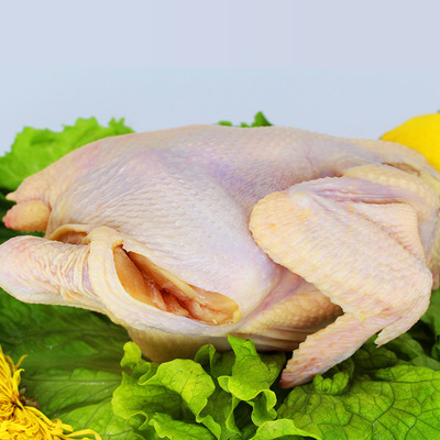 山东三黄土鸡农家散整只冷冻鸡肉白条鸡生孕妇子鸡生鲜整鸡