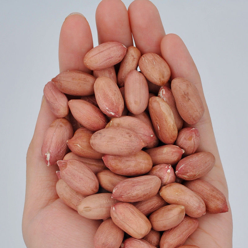 花生米花生精选山东鲁花颗粒手剥新鲜农家特级花生