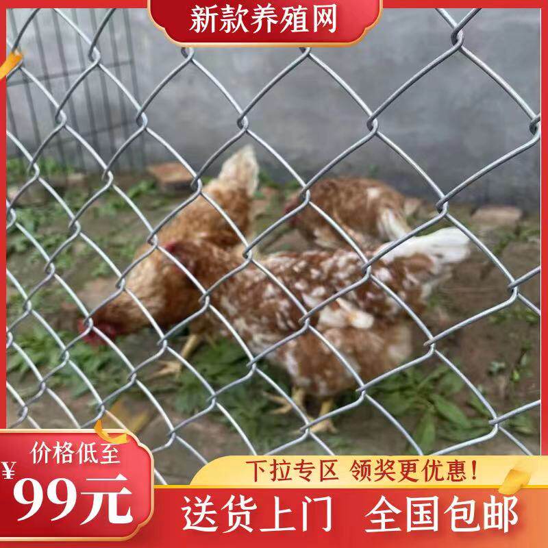 栏网镀锌铁丝网围栏不锈养殖钢丝丝网养鸡狗勾护栏