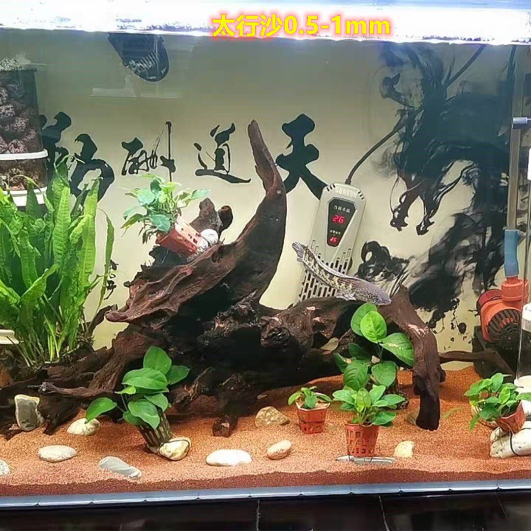 底沙太行红色鱼缸造景雨林热带鱼底砂造景