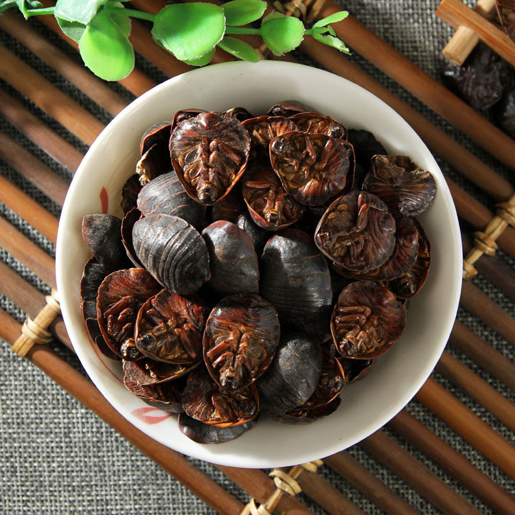 土元中药材地鳖土鳖干货500克包邮免费打粉其他药食同源食品