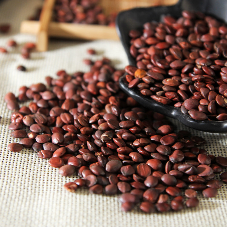 酸枣野生精选可打500克包邮其他药食同源食品