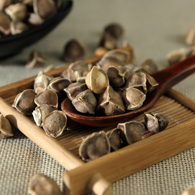 辣木中药材精选籽无500克包邮非印度进口野生其它新食品原料类