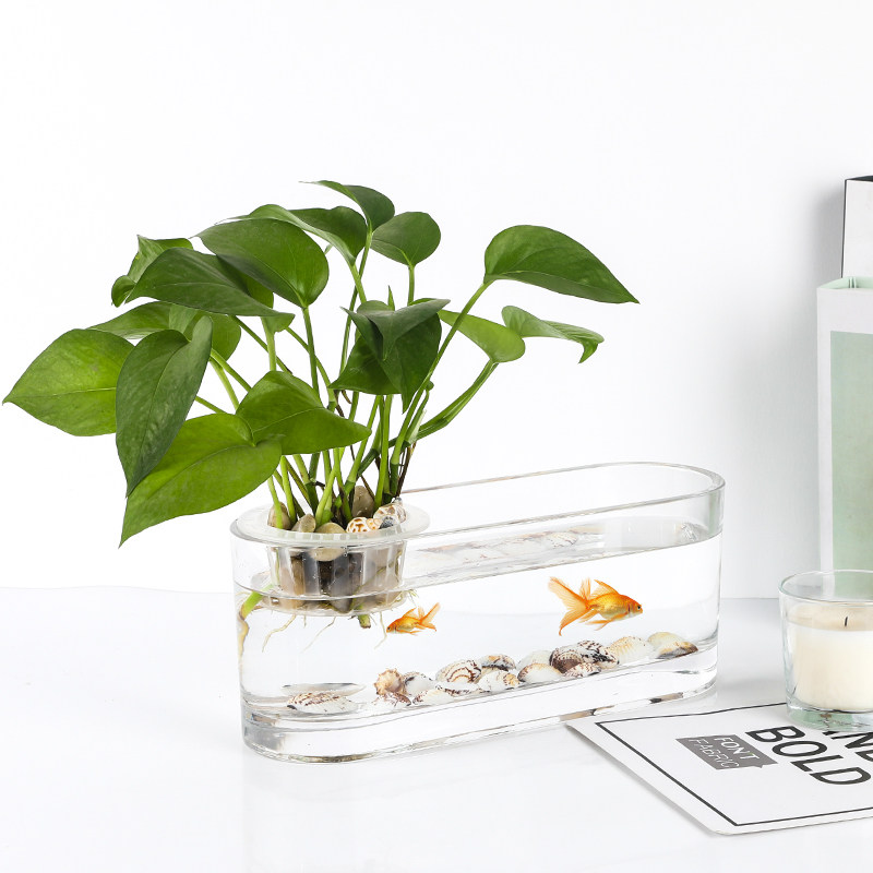 花盆加厚透明玻璃椭圆缸水水仙植物容器多功能花盆