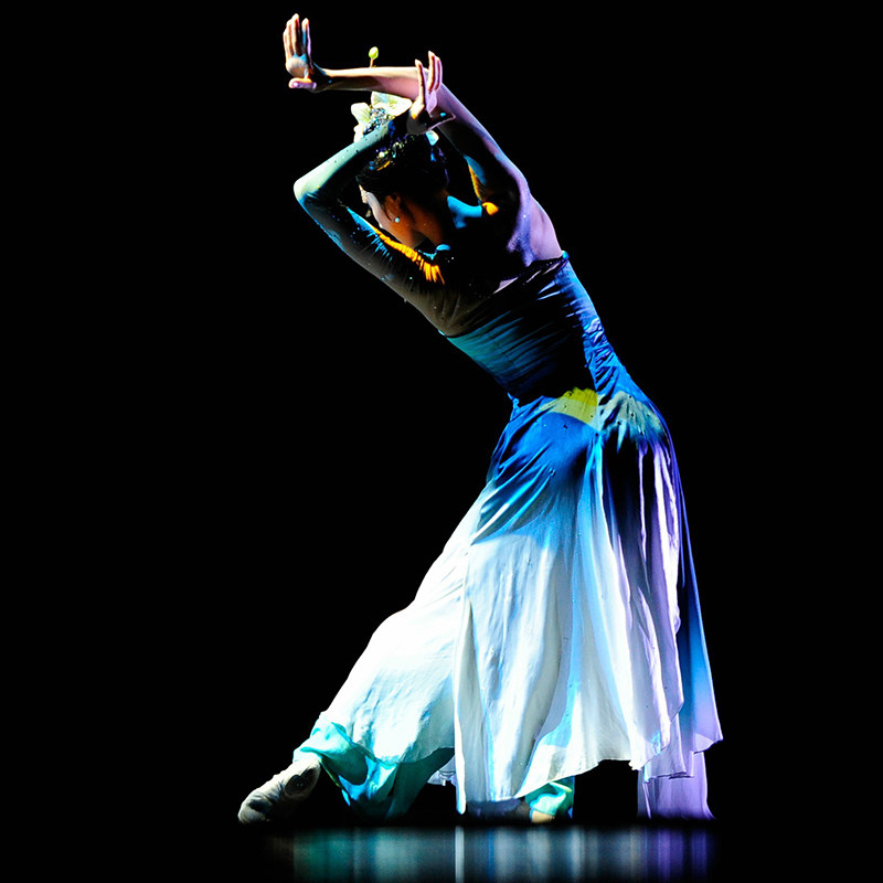 空谷幽兰舞蹈原版订做桃李女子独舞比赛演出民族服装民族服装