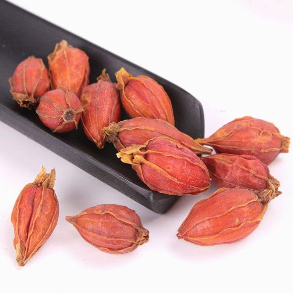 中药材生栀子 黄果子山黄枝黄栀山栀子栀子500g一件