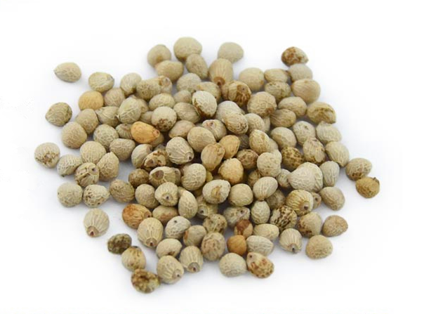 白苏白苏籽鸟食玉竹竹子中药材500g包邮传统滋补品其他