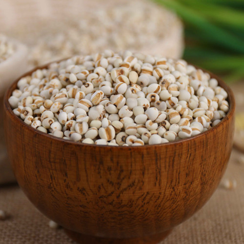 东北五常薏米仁5斤 新货 薏米 薏仁米 黑龙江薏米苡米仁 包邮