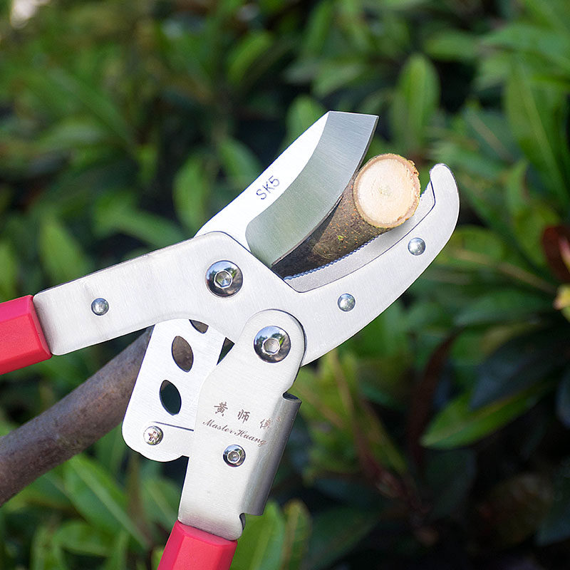 黄师傅修枝剪进口园艺高枝剪树枝剪刀粗枝果树省力园林伸缩大力剪