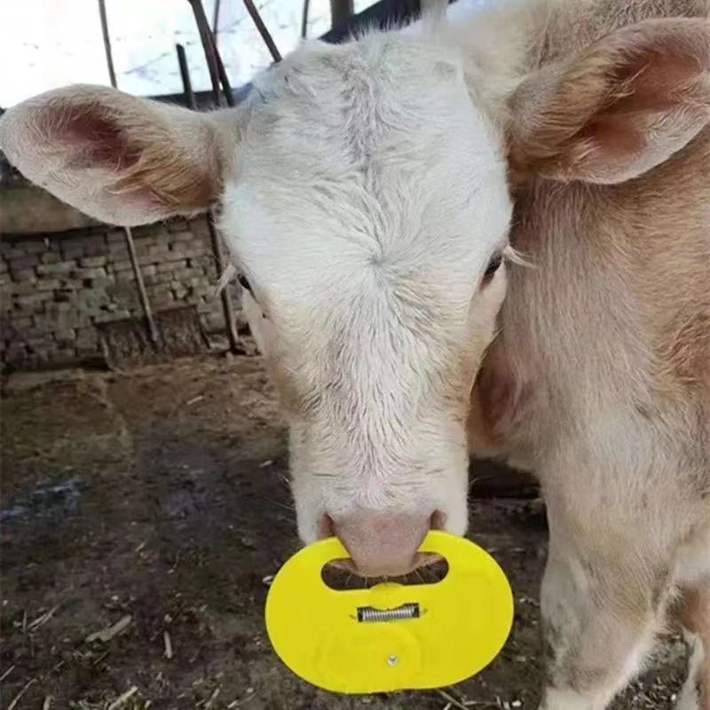 牛鼻犊牛断奶小牛戒奶器忌奶器弹簧加大环牛畜牧