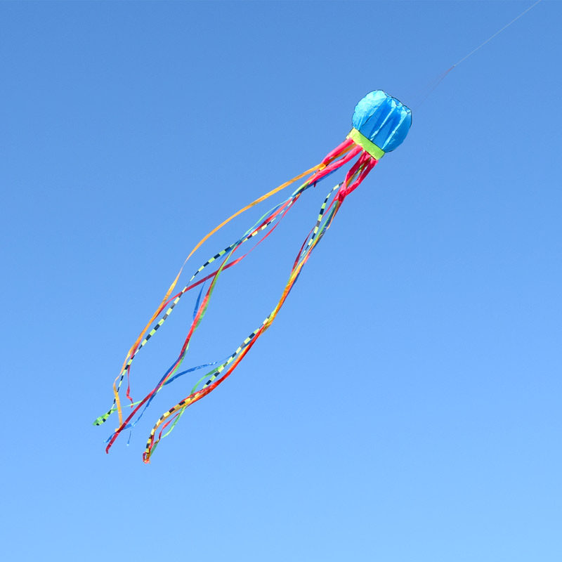 新款水母软体风筝初学儿童微风易飞大型高档立体长尾章鱼潍坊风筝