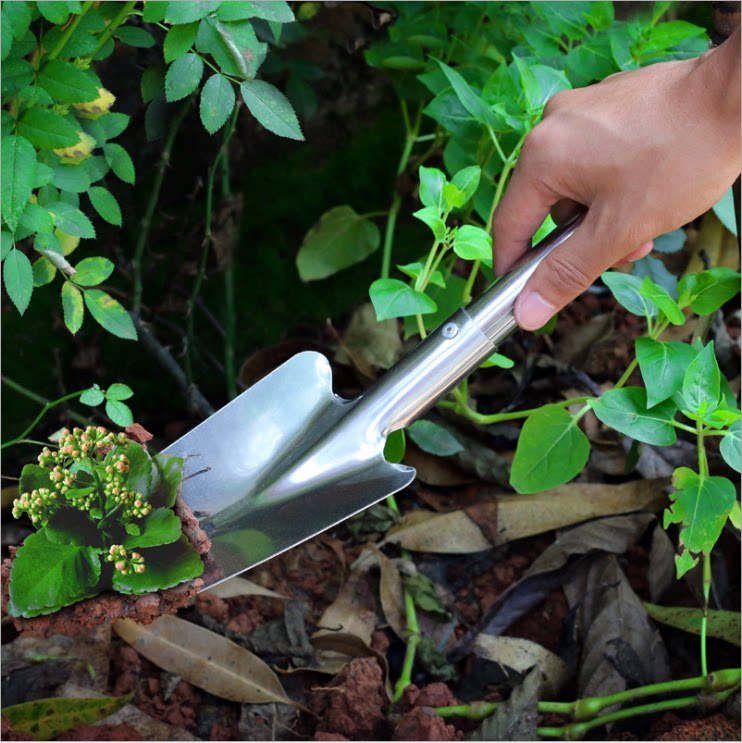 不锈钢花园家用园艺铲子工具工具厂厂家直销花铲铲子