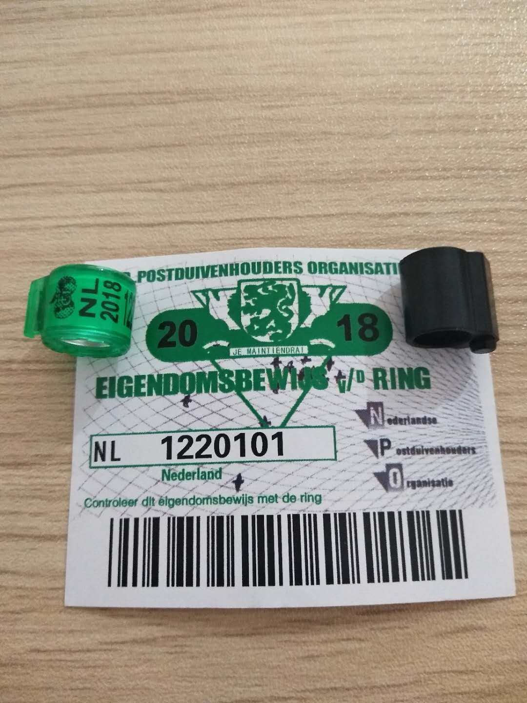 比利时信鸽足环2018带证正品统一公棚赛鸽德国其他