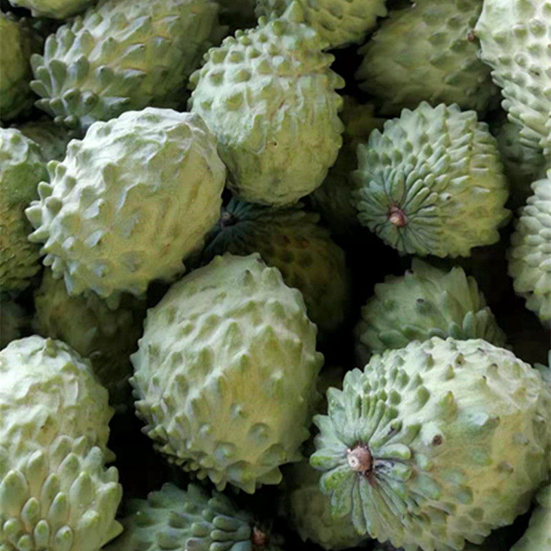 释迦云南5斤包邮当季荔枝佛头凤梨大果新鲜番荔枝