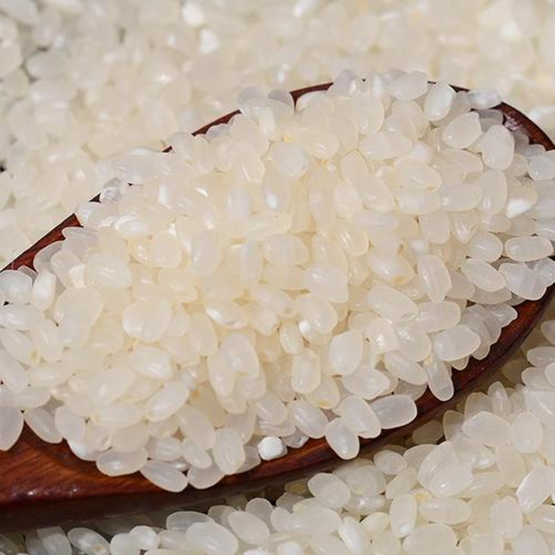 苏州大米常熟南粳粳米10kg2021年现新米20斤老人大米