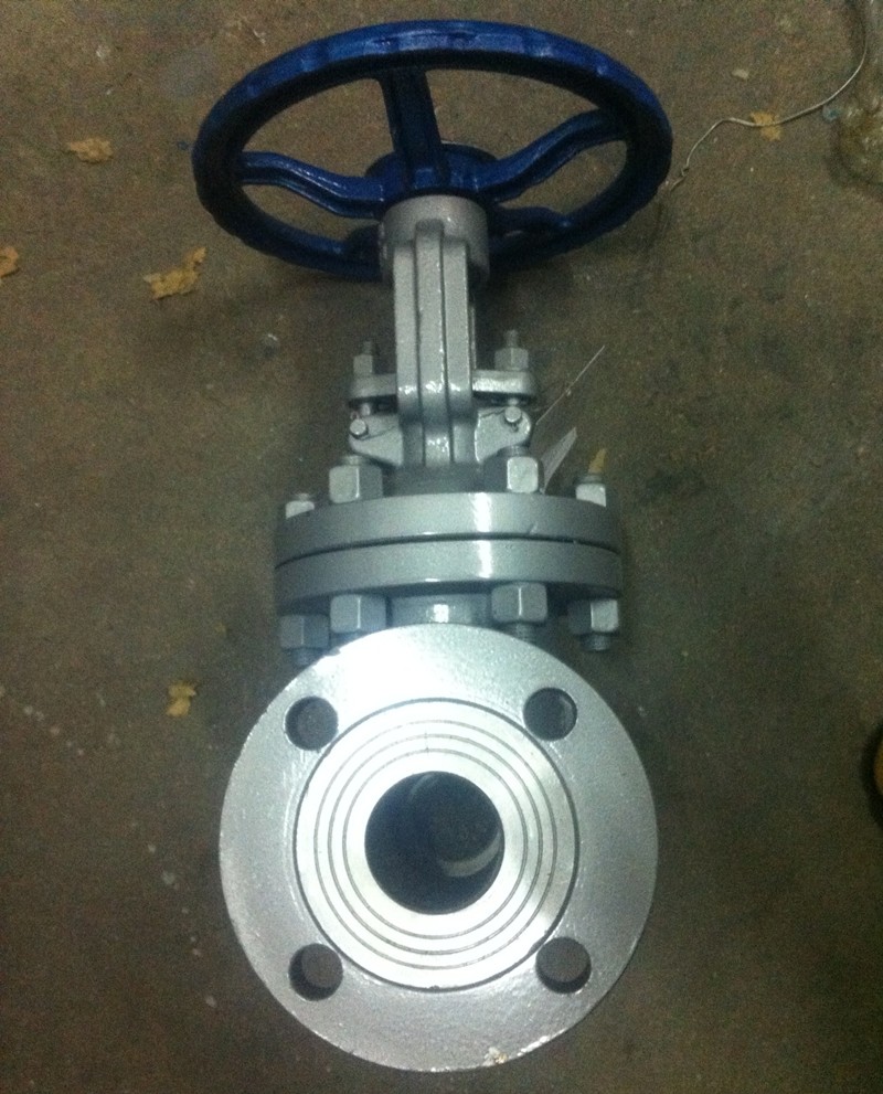 天津大站力字阀门z41h1016c铸钢wcb法兰楔式闸阀