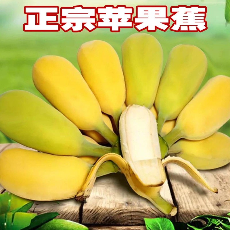 香蕉米蕉小米水果banana帝王新鲜海南芭蕉10斤香蕉