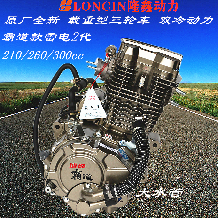 隆鑫原厂雷电二代载重型200 250 300cc三轮摩托车机头水冷发动机