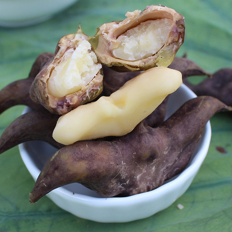 菱角洪湖新鲜凌角野生粉糯棱角农家湖北特产菱角