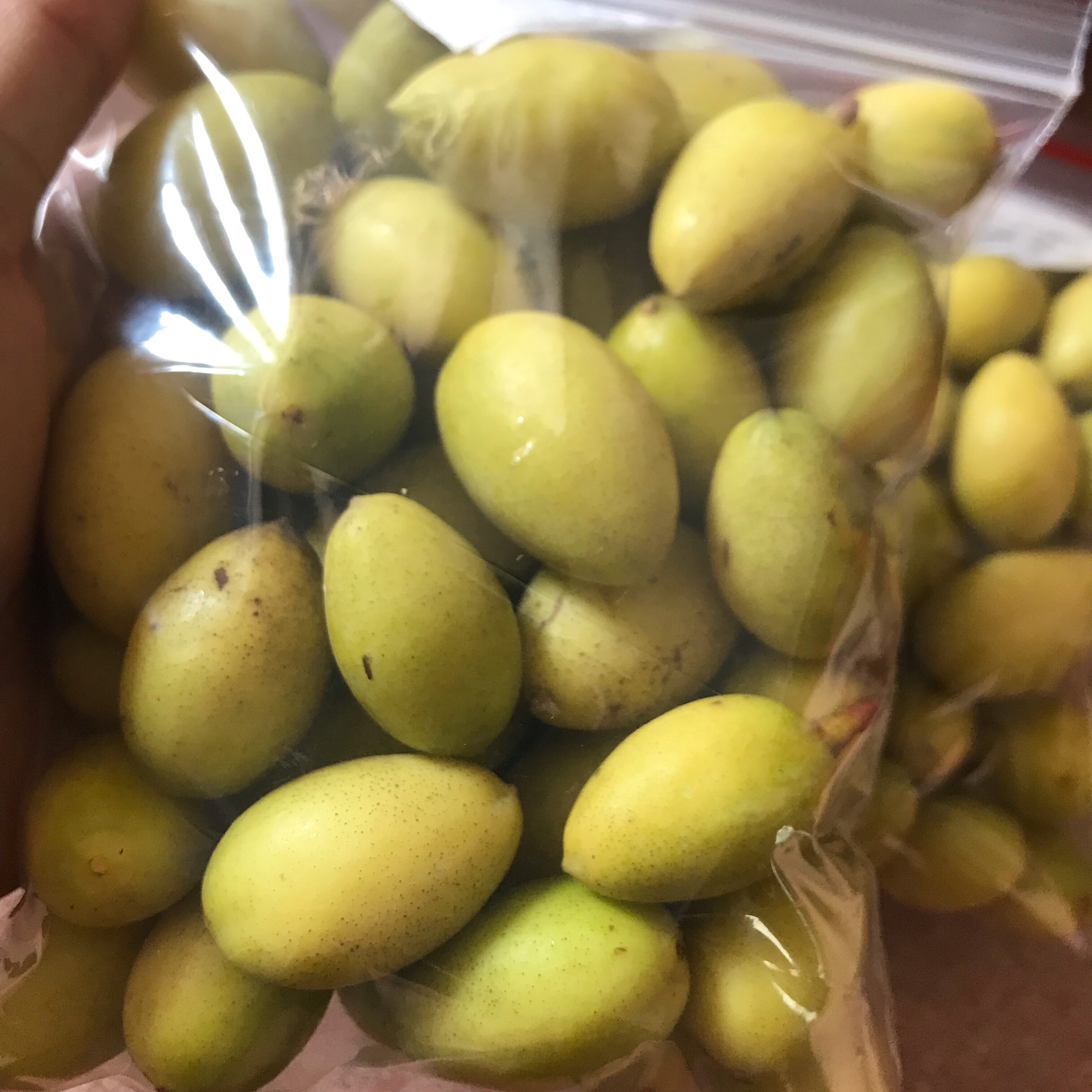 新鲜黄榄青橄榄檀香回甘黄皮橄榄果生橄榄青果孕妇清胎毒水果500g