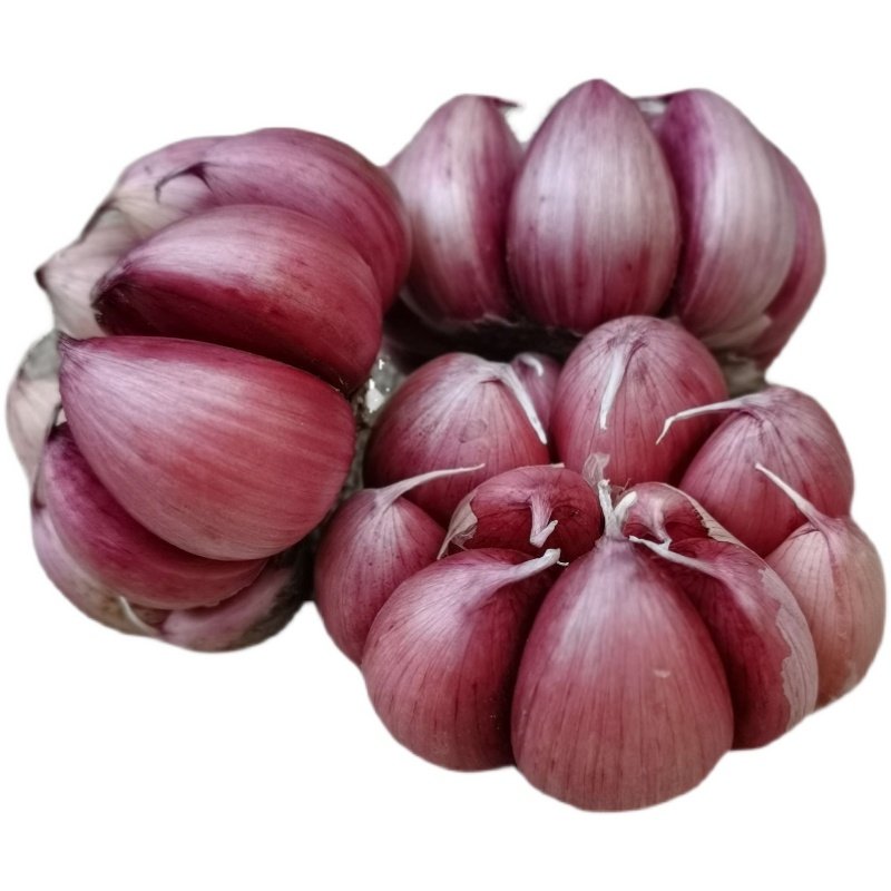 大蒜2021年云南紫皮蒜头干蒜5斤中大新鲜红皮大蒜