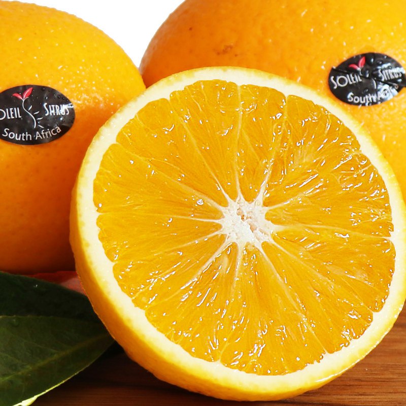 南非橙子个大果皮多汁当季进口新鲜榨汁甜橙橙