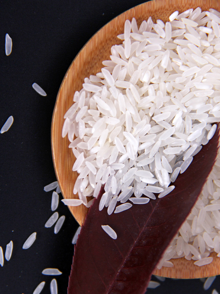 正宗丝苗米长米粒大米5kg 10斤香米籼米南方长粒香自产长粒米细长