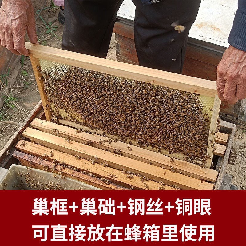 蜜蜂巢础中蜂成品巢框养蜂工具标准蜂箱蜂巢框意蜂巢脾土蜂巢蜂脾