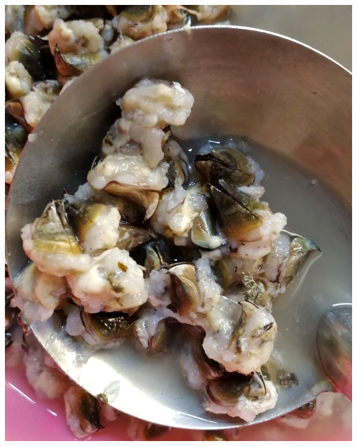 石浦海鲜 冒着生命危险岛上挖来的cuo 藤壶雀嘴味极鲜 夏天多
