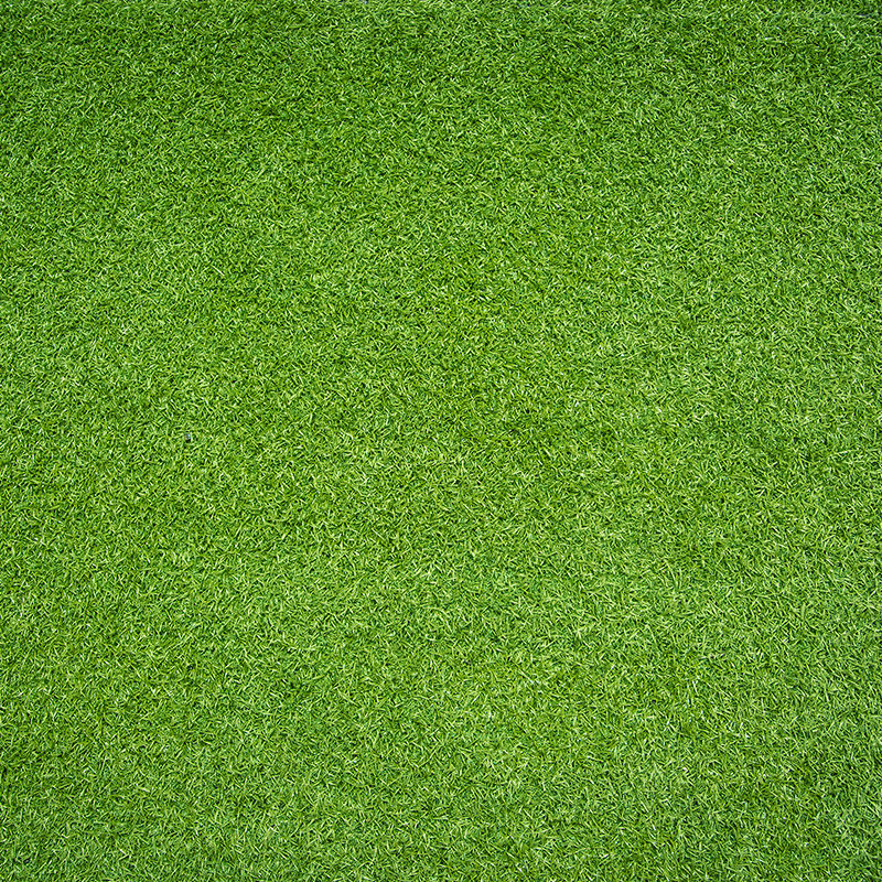 草坪草地高清背景绿色植被底纹贴图ps填充设计素材