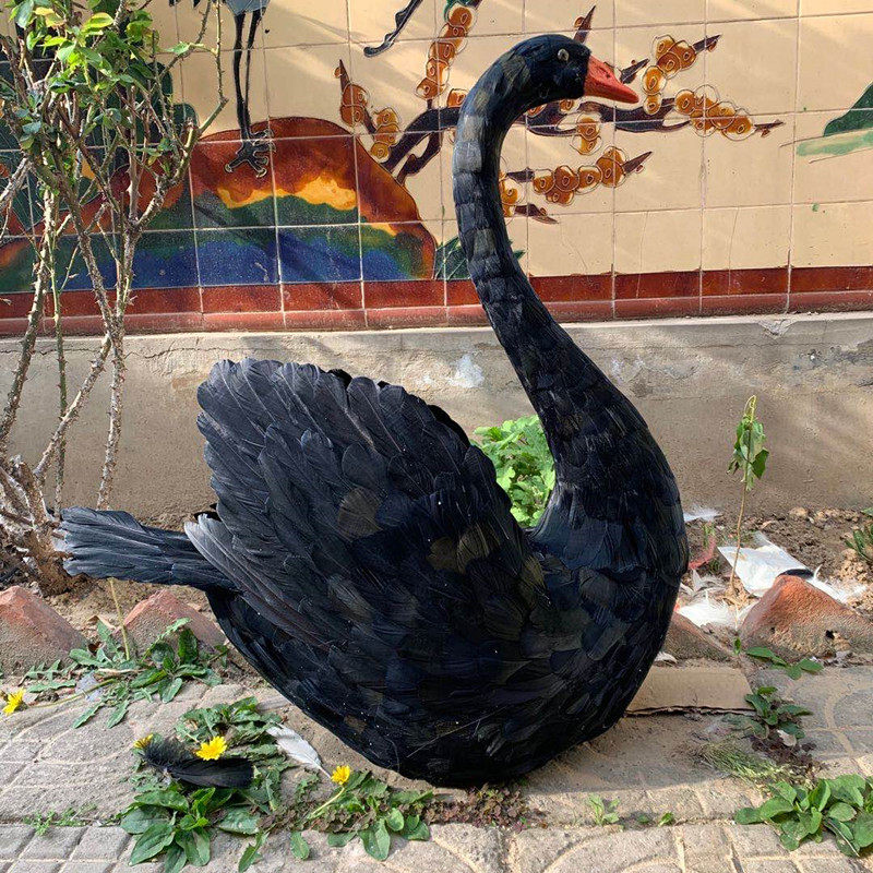 仿真黑天鹅模型家居橱窗装饰婚礼舞台羽毛天鹅摆件