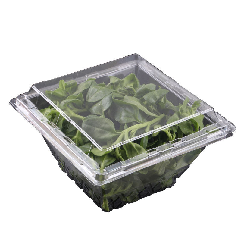 高端一次性蔬菜沙拉包装盒净菜打包透明塑料生菜一次性餐盒
