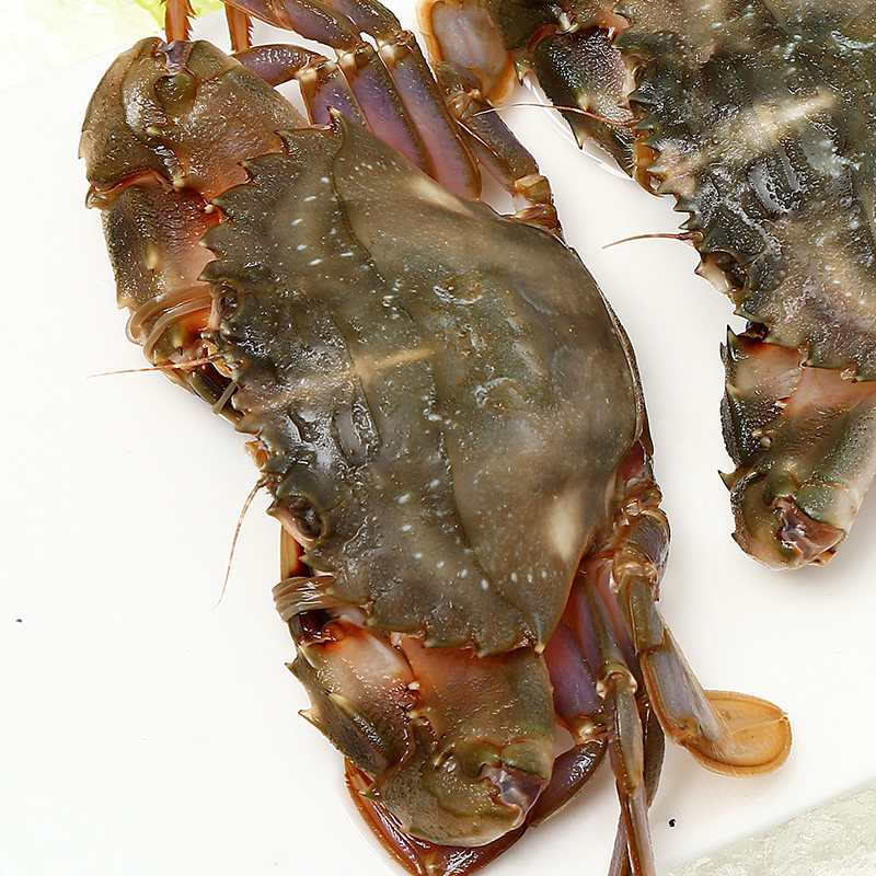 鲜活水产新鲜海鲜小石蟹花盖蟹海螃蟹花蟹大青青蟹