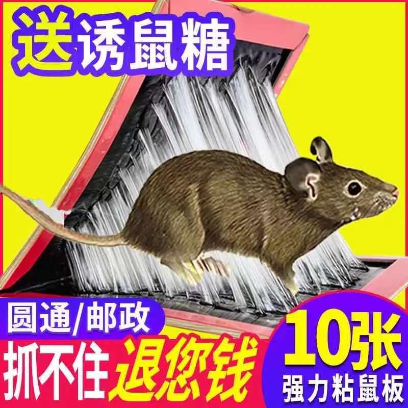 粘鼠板强力家用老鼠贴灭鼠捕鼠
