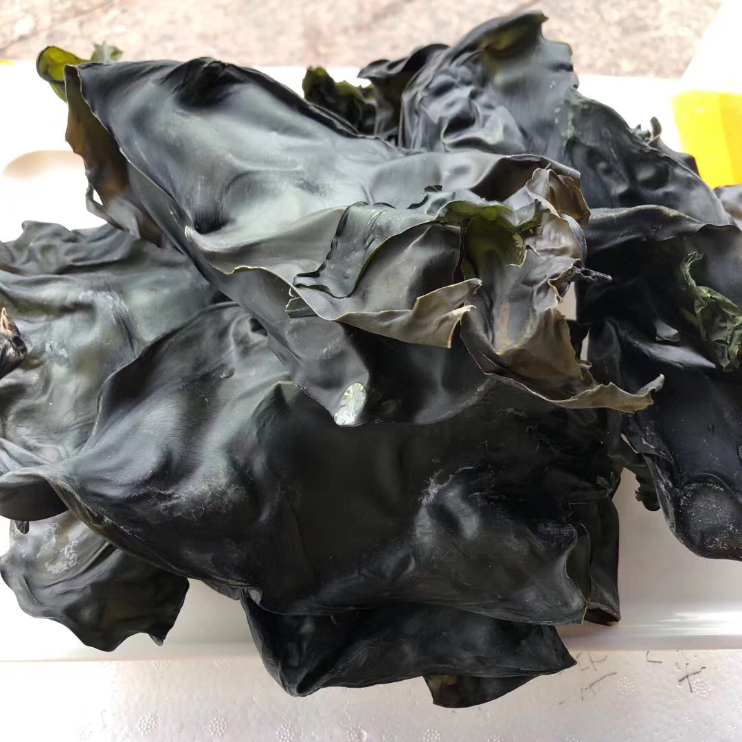 福建淡晒海带头海带干货结丝无沙天然长尾根干海带