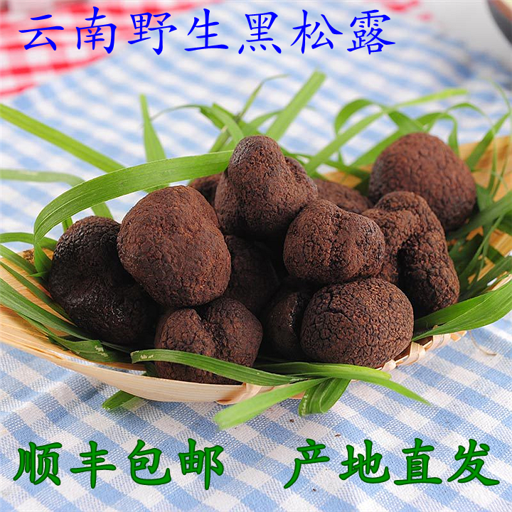 野生黑松新鲜云南块菌猪拱食用菌非鸡枞松茸新鲜松茸