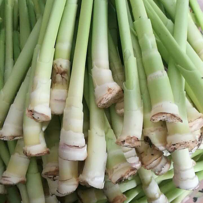 新鲜芦笋洞庭湖荻柴笋5斤膳食纤维纯手工制作南大汇特产沅江芦笋