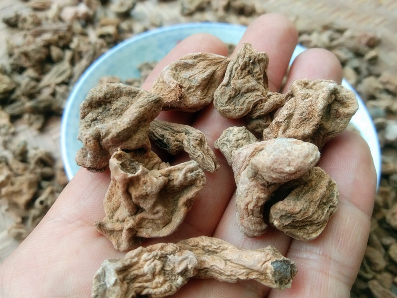 贵州特产野生中药材搜山水洗干货山洋芋苗家草药其他药食同源食品