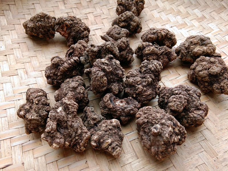 贵州川芎个子干货1斤包邮野生中药材山鞠穷芎藭其他药食同源食品