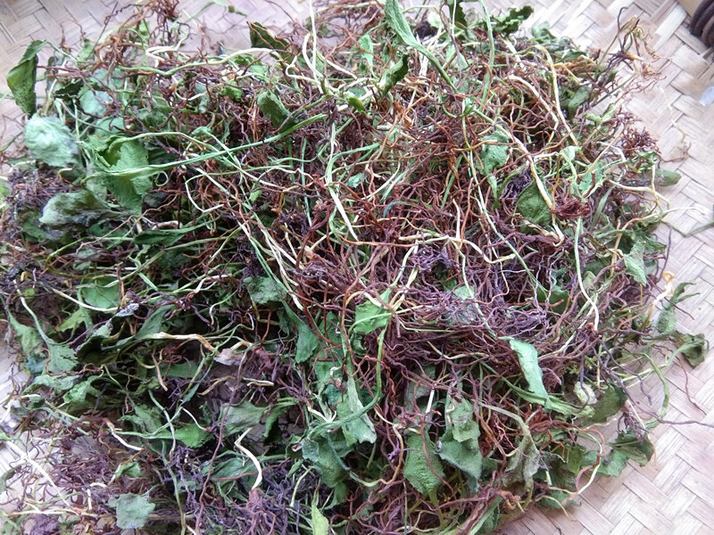 贵州野生中草药一支中药材蛇吐须蛇青藤水洗干货其他药食同源食品
