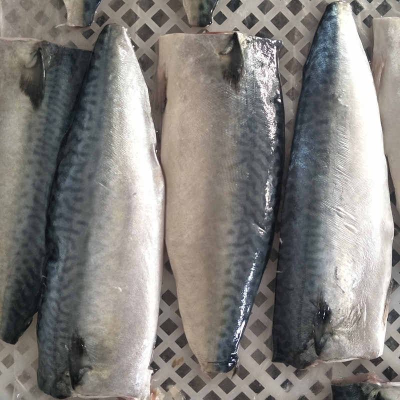 青花挪威进口鱼深海鱼鲜活鲭鱼新鲜其它