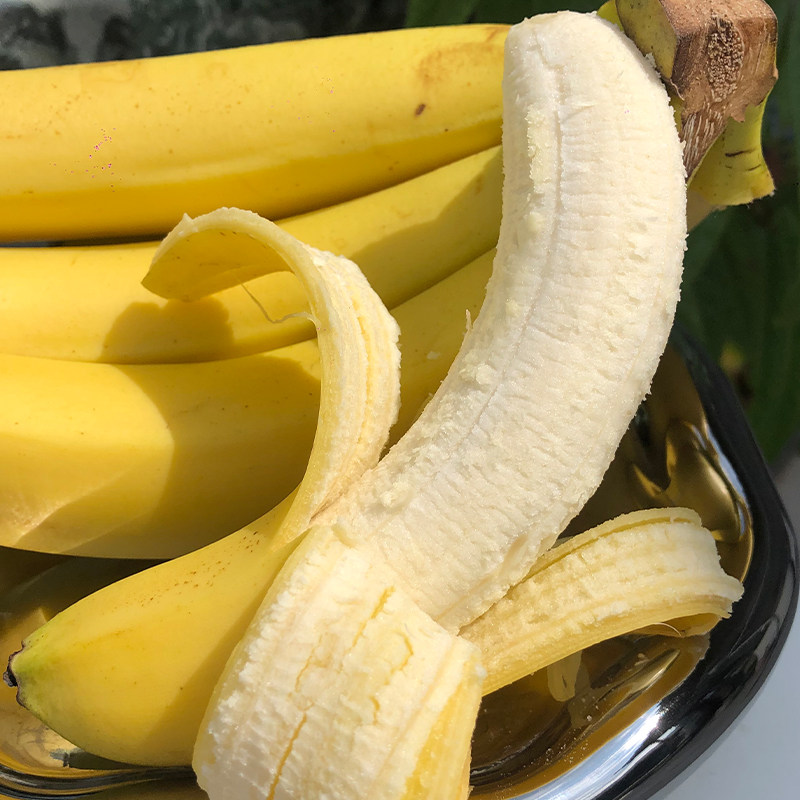 正宗云南威廉斯香蕉3斤当季新鲜水果现摘大果香蕉
