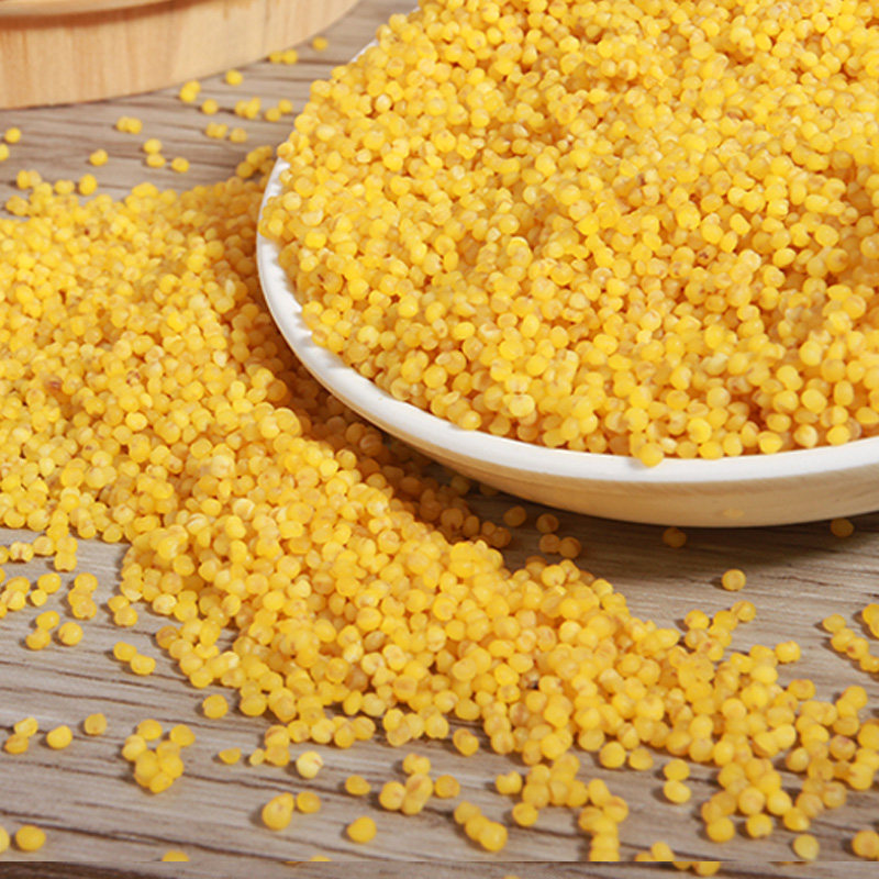 淘乡甜山西阳曲小米400g*3袋五谷杂粮月子米宝宝粥米当季新