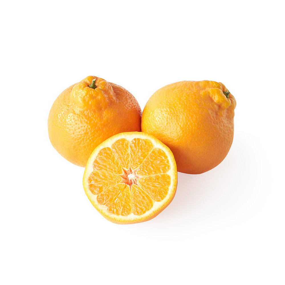 盒马四川春见耙耙柑觅果果黑标礼盒12粒新鲜桔子