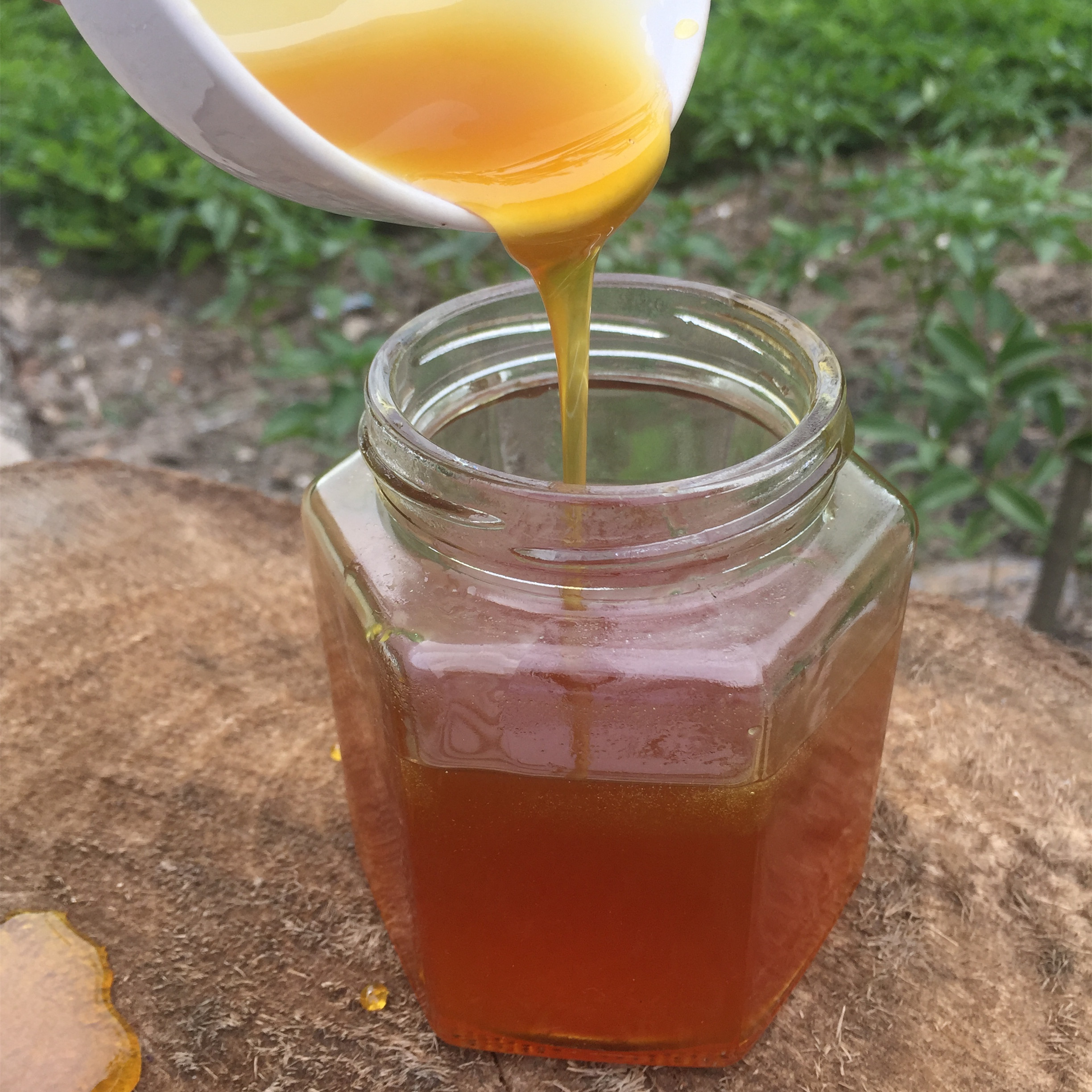 纯蜂蜜野生百花土蜂巢蜂胶蜜护胃健康农家自产传统手工压制包邮