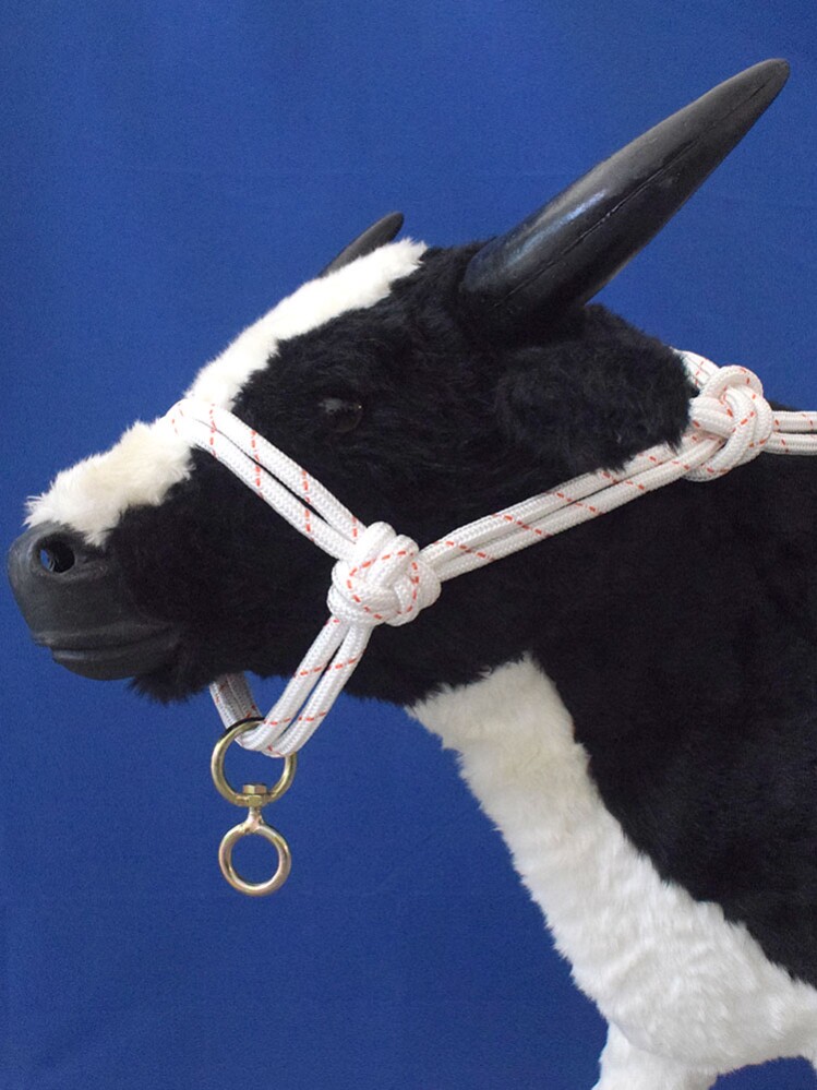 牛羊脖套栓牛绳子项圈笼头耐磨加厚小牛犊尼龙畜牧