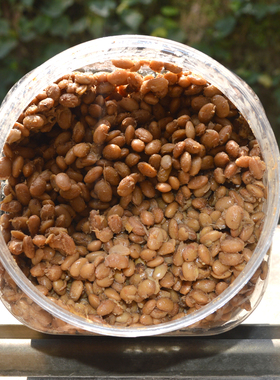 自制农家即食家乡正宗贞丰特产瓶装黔货出大山淘宝店贵州 黔西南去