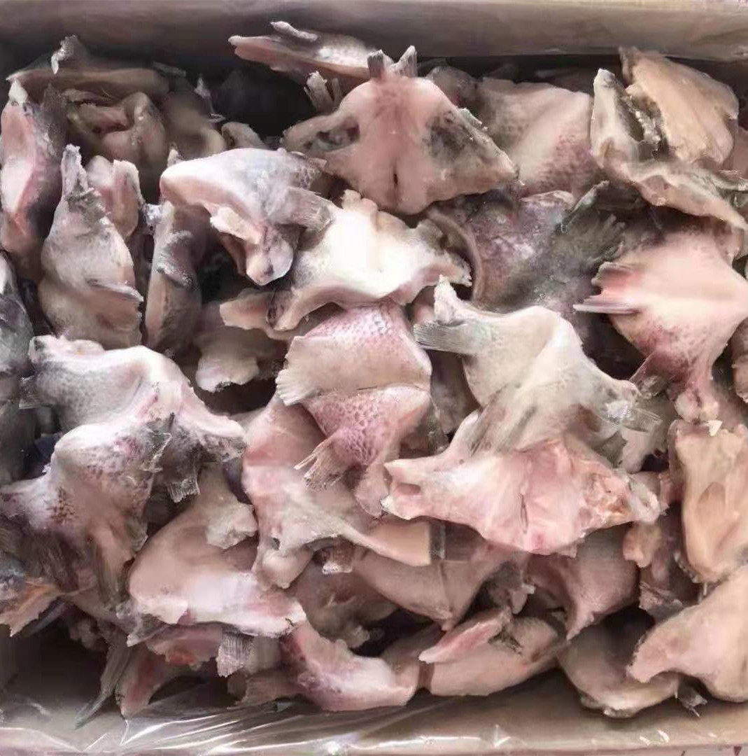 海鲜大鱼下巴4斤带冰鱼翅鱼鳃鲷鱼罗非鱼冷冻其它